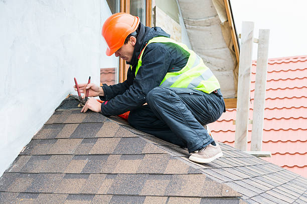 Roof Gutter Cleaning in Earle, AR